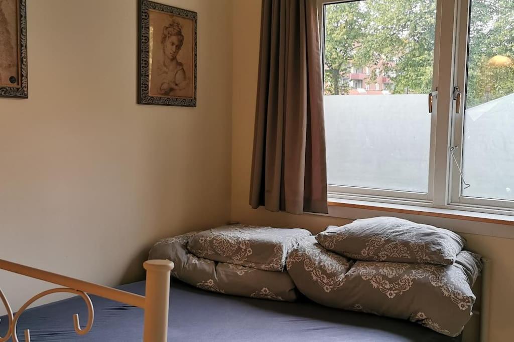 Classic Groundfloor With Patio Close To Metro Appartamento *